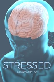 Stressed watch hd free